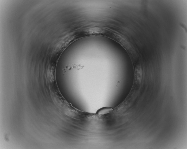 X0000100880422200806201250