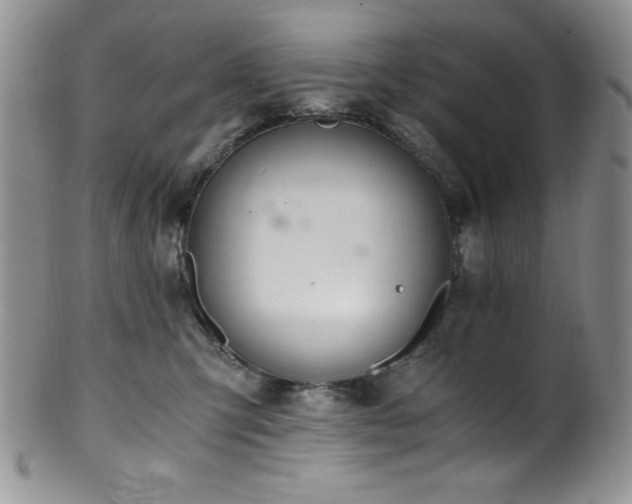 X0000100880423200806201250