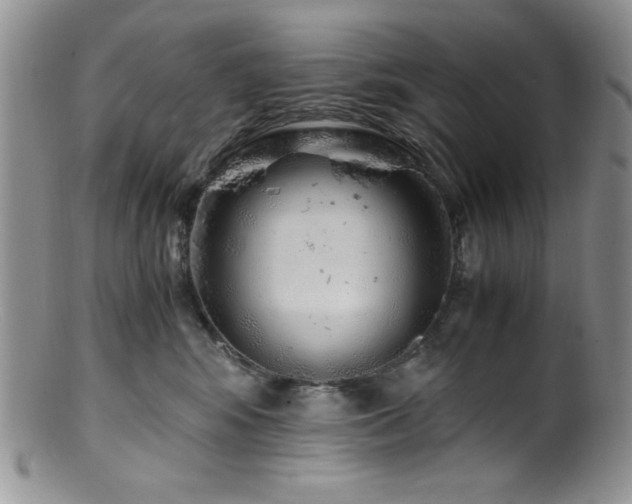 X0000100880424200806201250