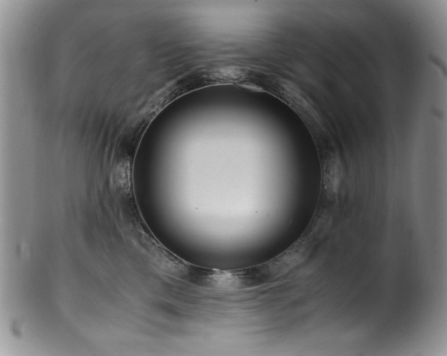 X0000100880425200806201250