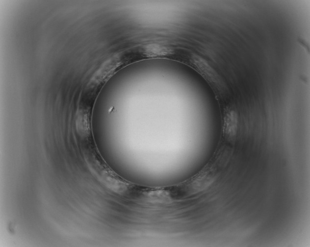 X0000100880426200806201250