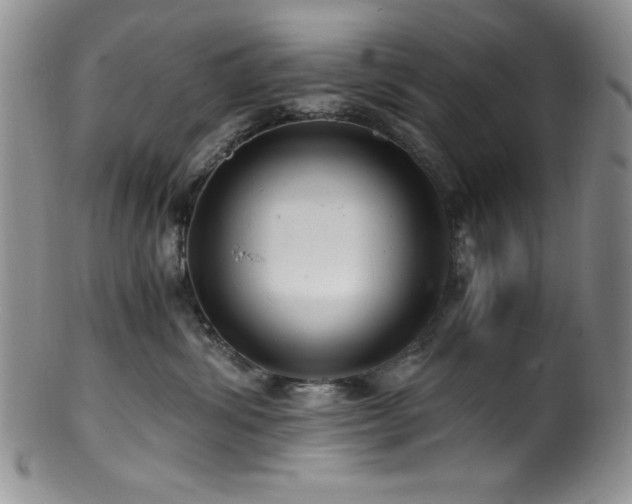 X0000100880428200806201250