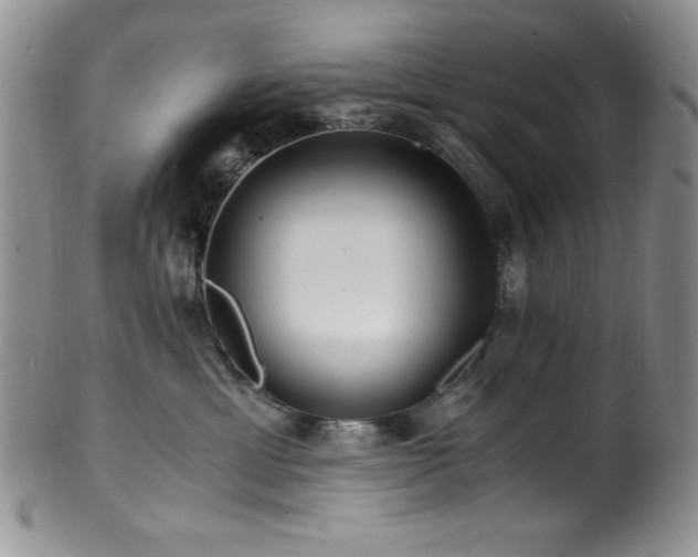 X0000100880429200806201250