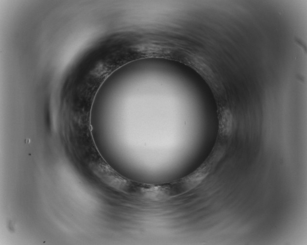 X0000100880430200806201250