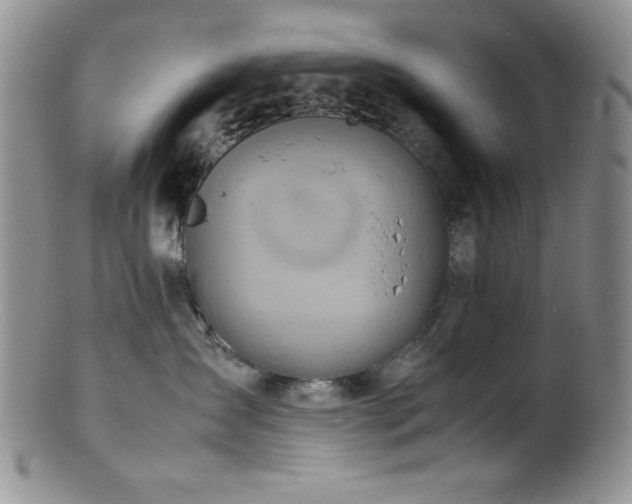 X0000100880431200806201250