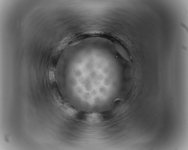 X0000100880432200806201250