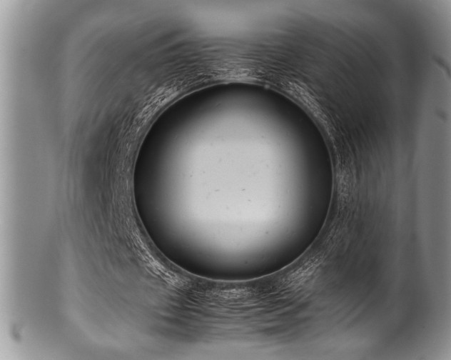 X0000100880433200806201250