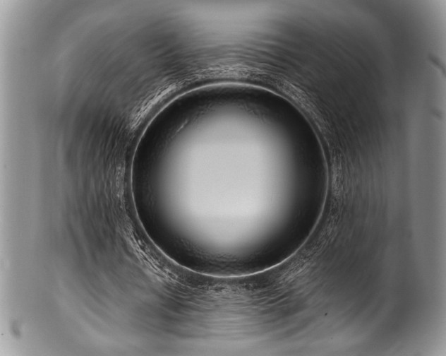 X0000100880434200806201250