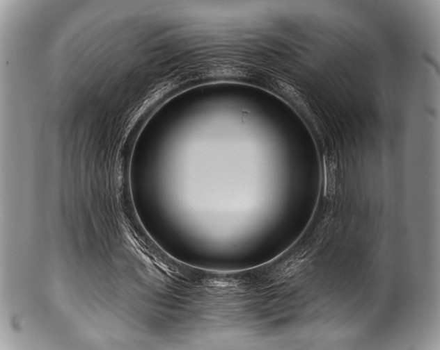 X0000100880435200806201250