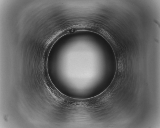 X0000100880436200806201250