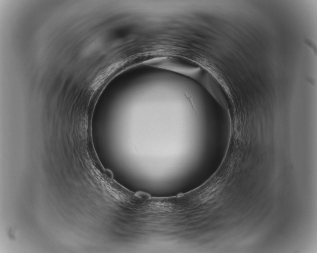 X0000100880437200806201250