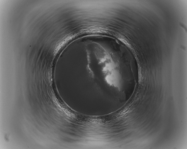 X0000100880438200806201250