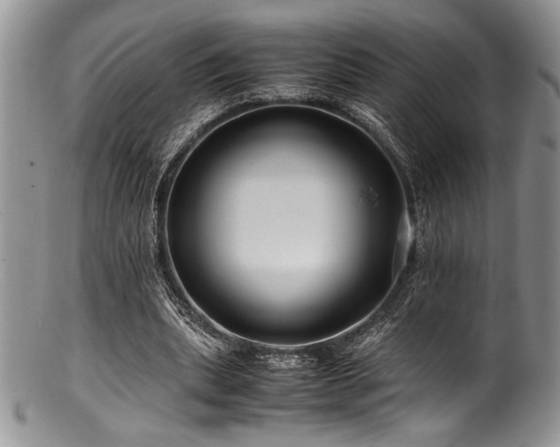 X0000100880439200806201250