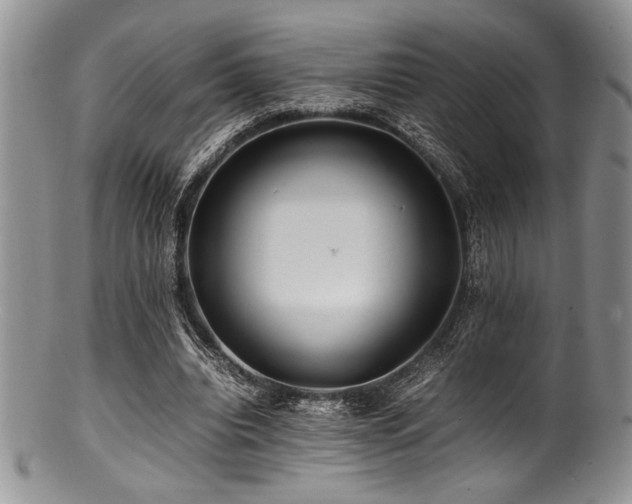 X0000100880440200806201250