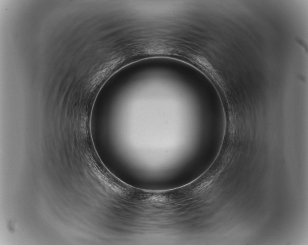 X0000100880441200806201250