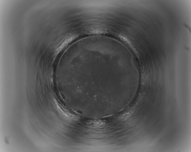 X0000100880443200806201250