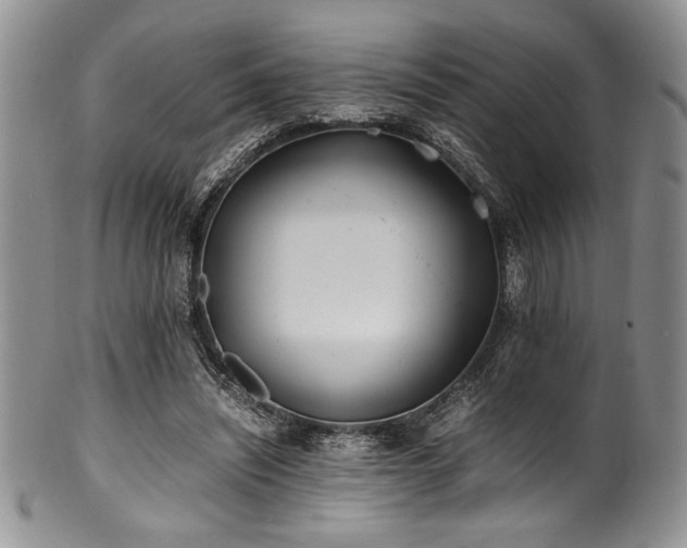 X0000100880444200806201250