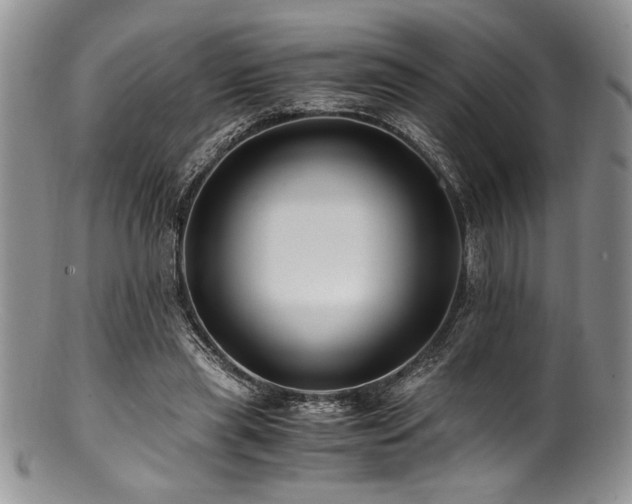 X0000100880445200806201250