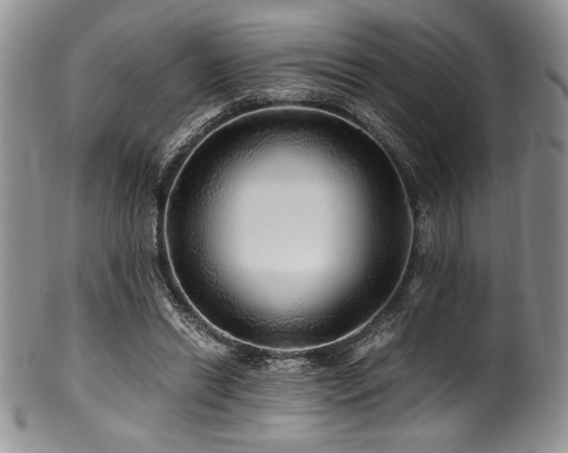 X0000100880446200806201250