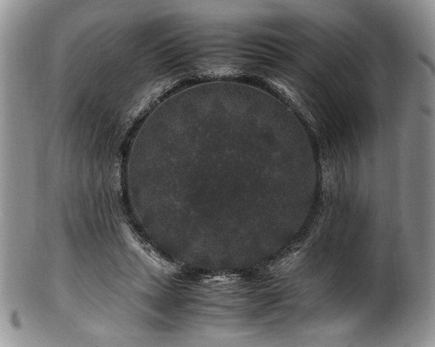 X0000100880447200806201250