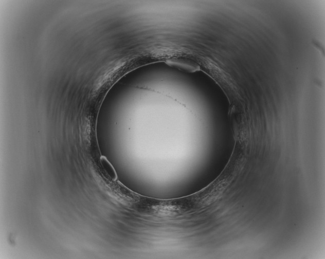 X0000100880448200806201250