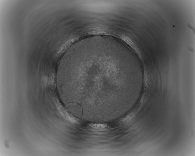 X0000100880449200806201250