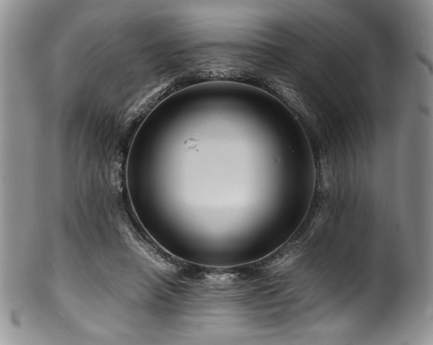 X0000100880450200806201250