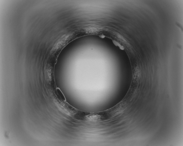 X0000100880452200806201250