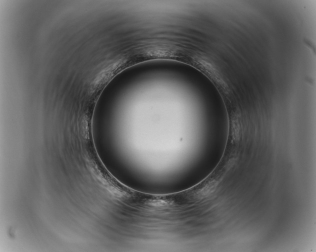 X0000100880453200806201250