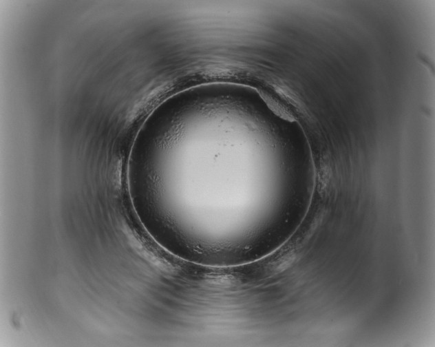 X0000100880454200806201250