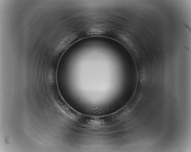 X0000100880455200806201250