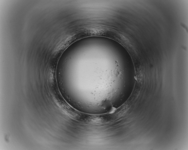 X0000100880456200806201250