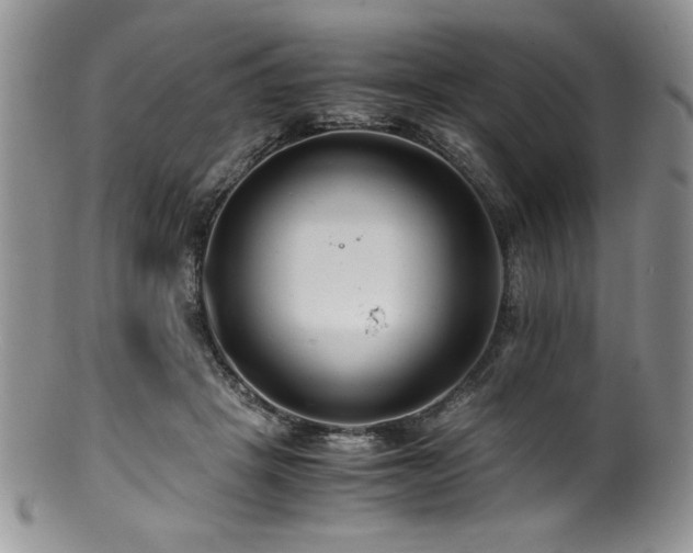 X0000100880457200806201250