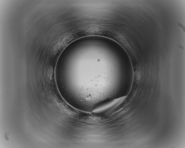 X0000100880458200806201250