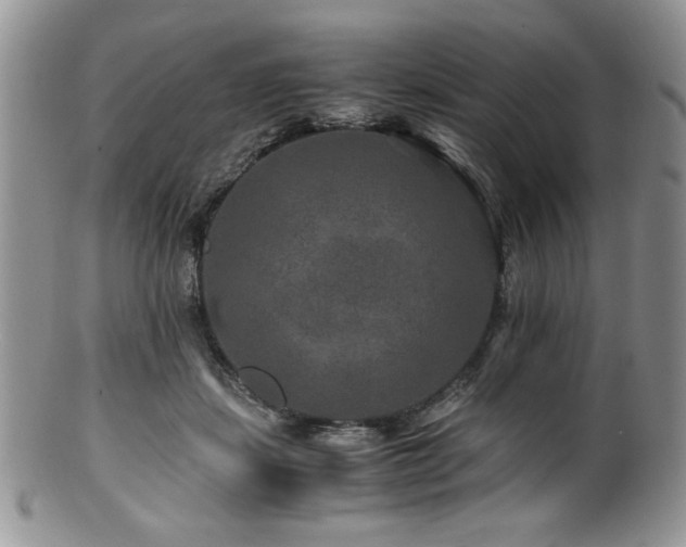 X0000100880459200806201250