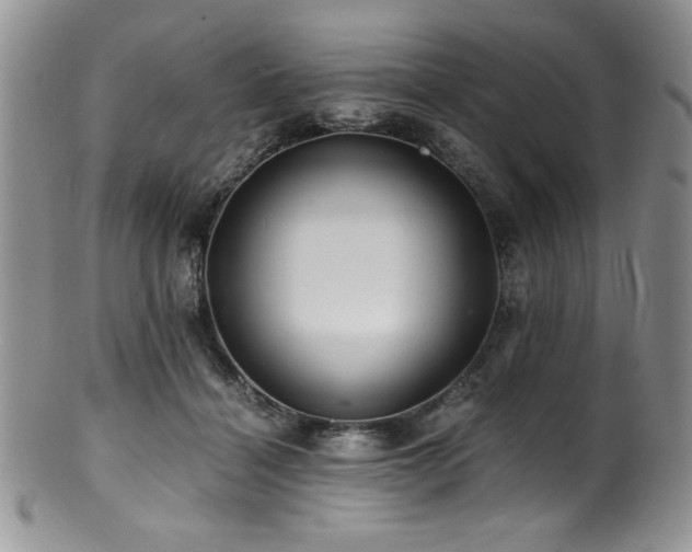 X0000100880460200806201250