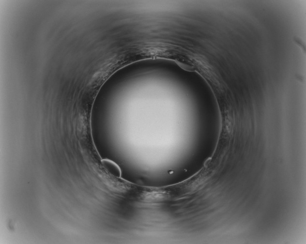 X0000100880461200806201250