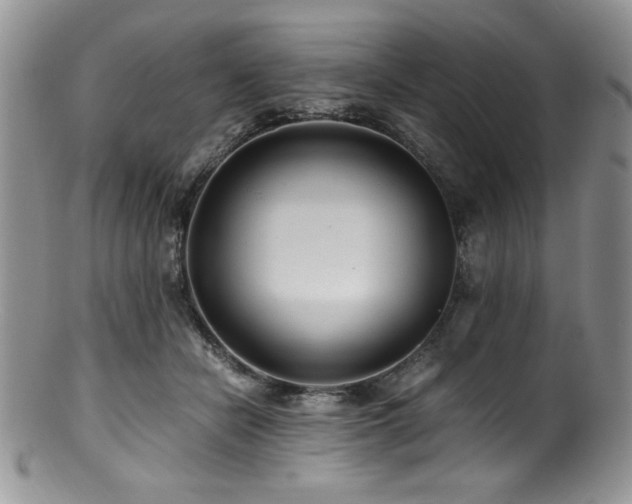 X0000100880462200806201250