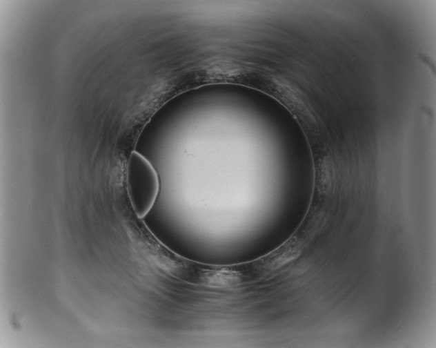 X0000100880463200806201250