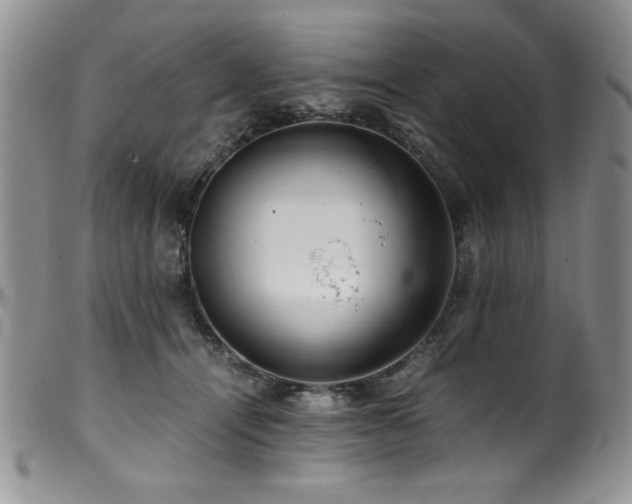 X0000100880464200806201250