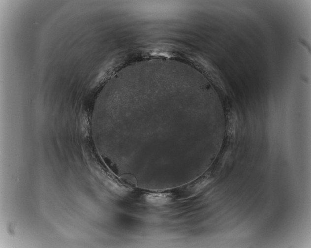 X0000100880465200806201250