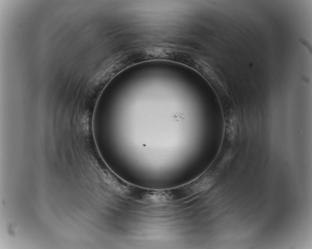 X0000100880466200806201250