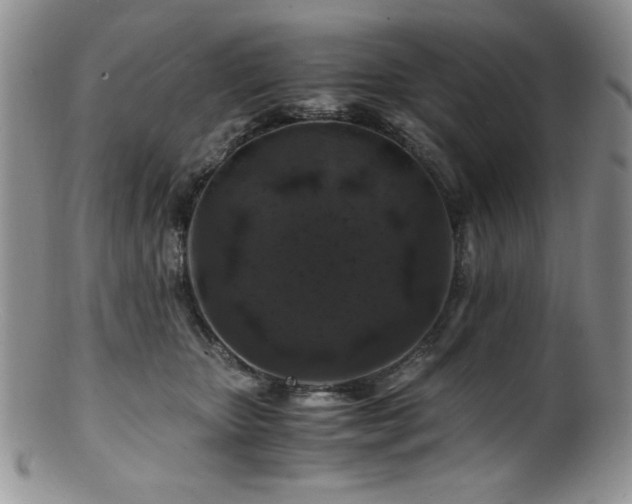 X0000100880467200806201250