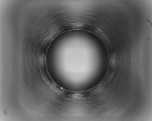 X0000100880468200806201250