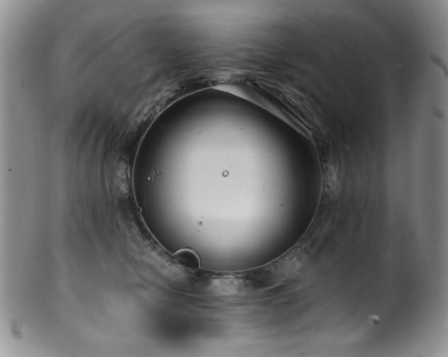 X0000100880470200806201250