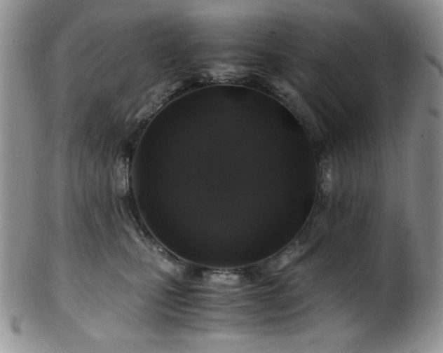 X0000100880471200806201250