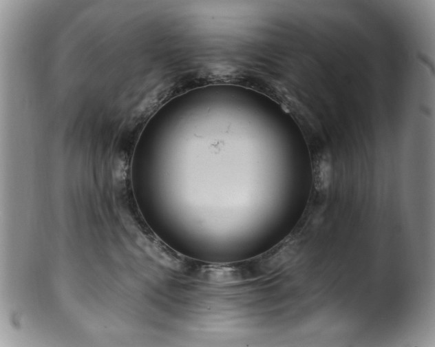 X0000100880472200806201250