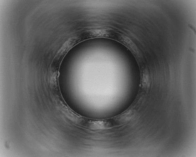 X0000100880473200806201250