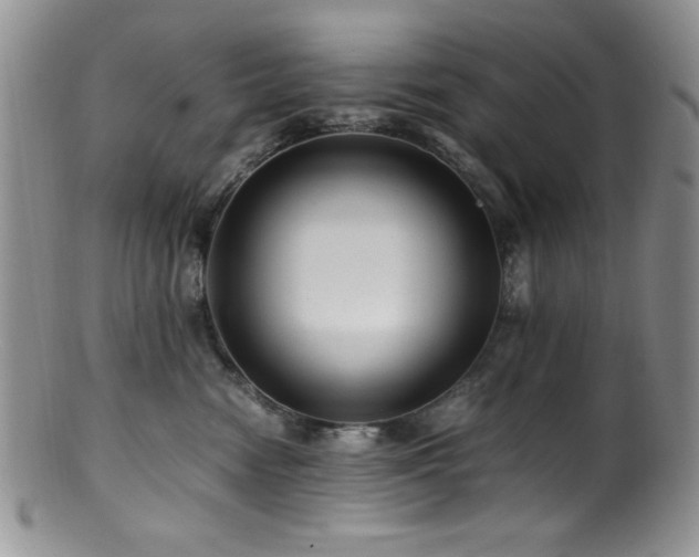 X0000100880474200806201250