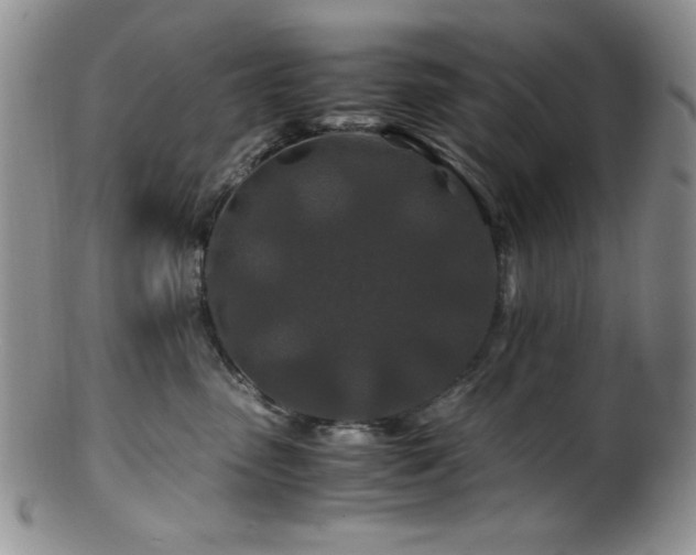 X0000100880475200806201250